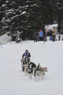Heidmühle 2013 EM Schrei
